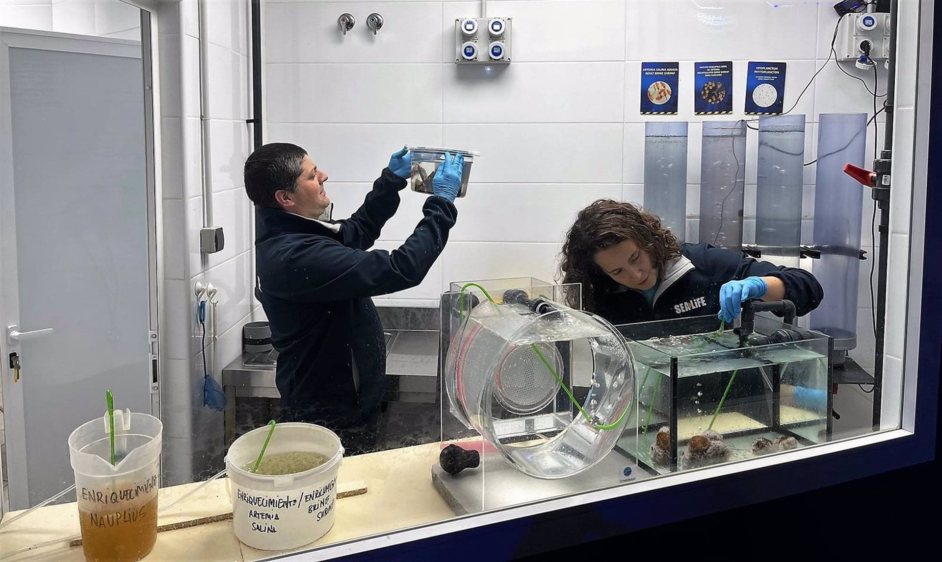 Acuaristas de Sea Life Benalmádena que han participado en el estudio del alga invasora