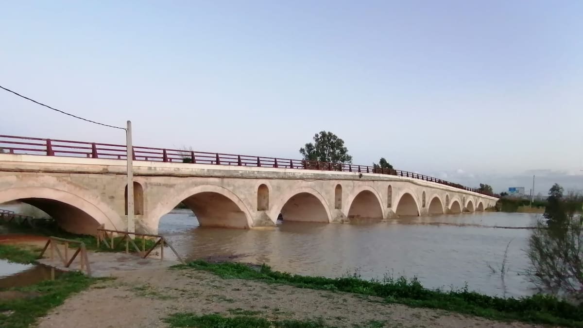 Jerez activa el Plan Territorial de Emergencias Local ante la crecida del río Guadalete