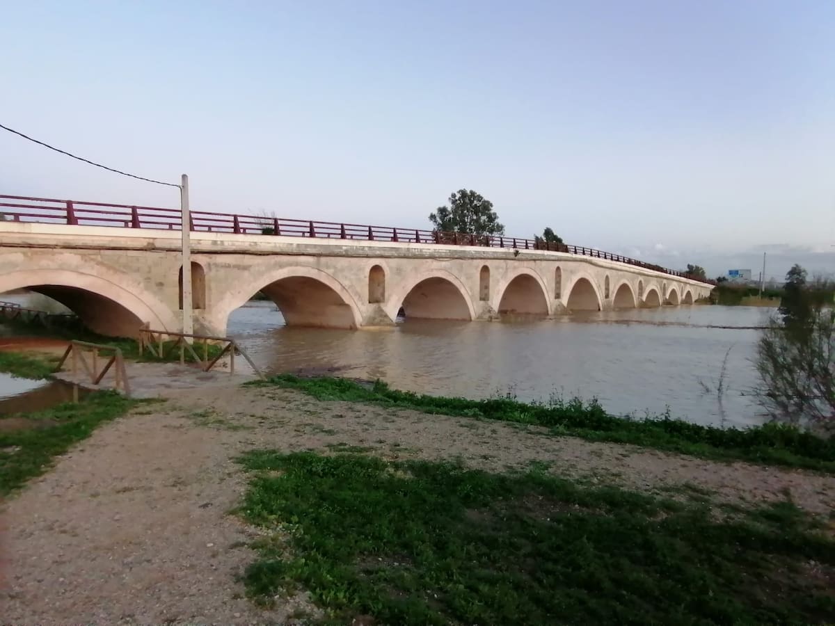 Jerez activa el Plan Territorial de Emergencias Local ante la crecida del río Guadalete
