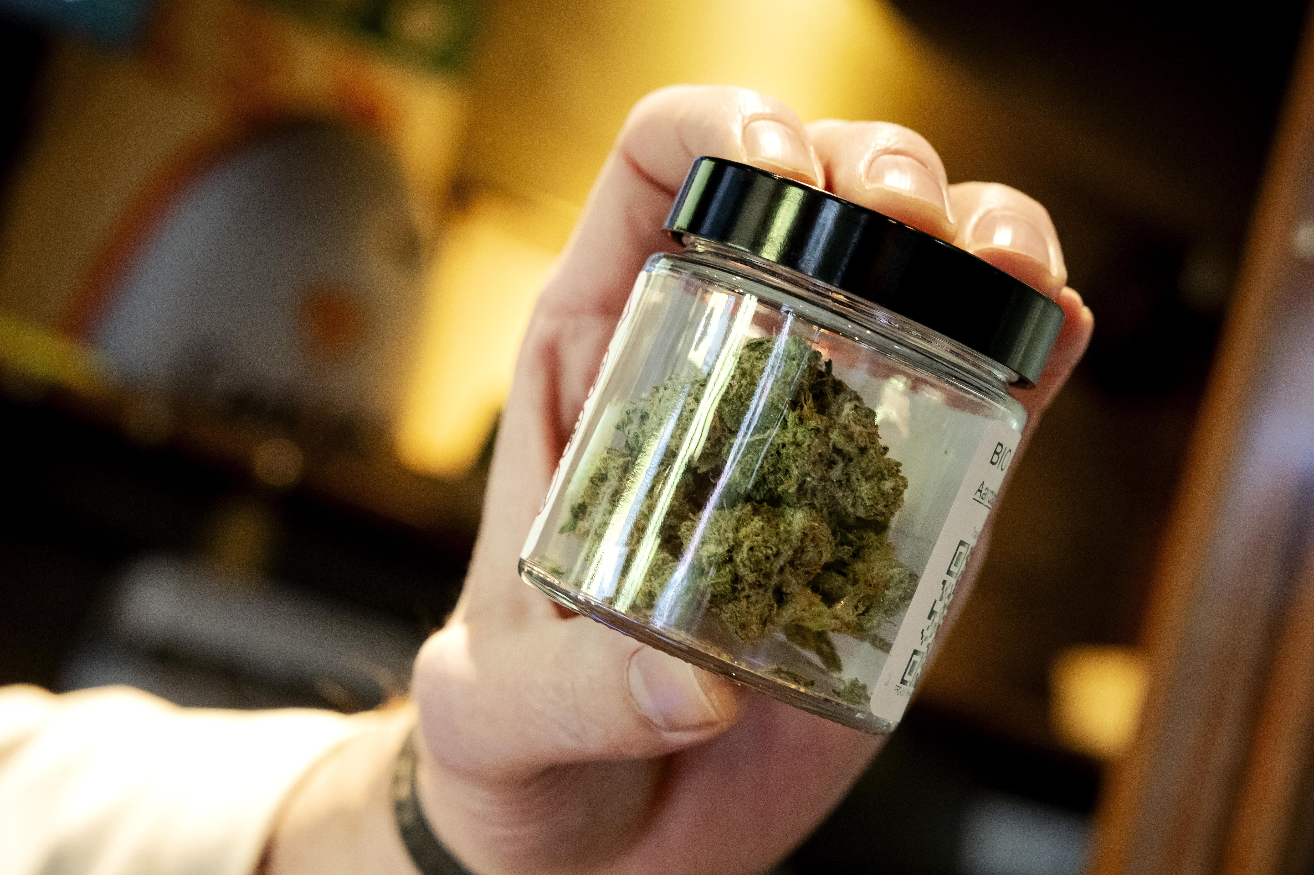 Cannabis de uso regulado en venta en Países Bajos.