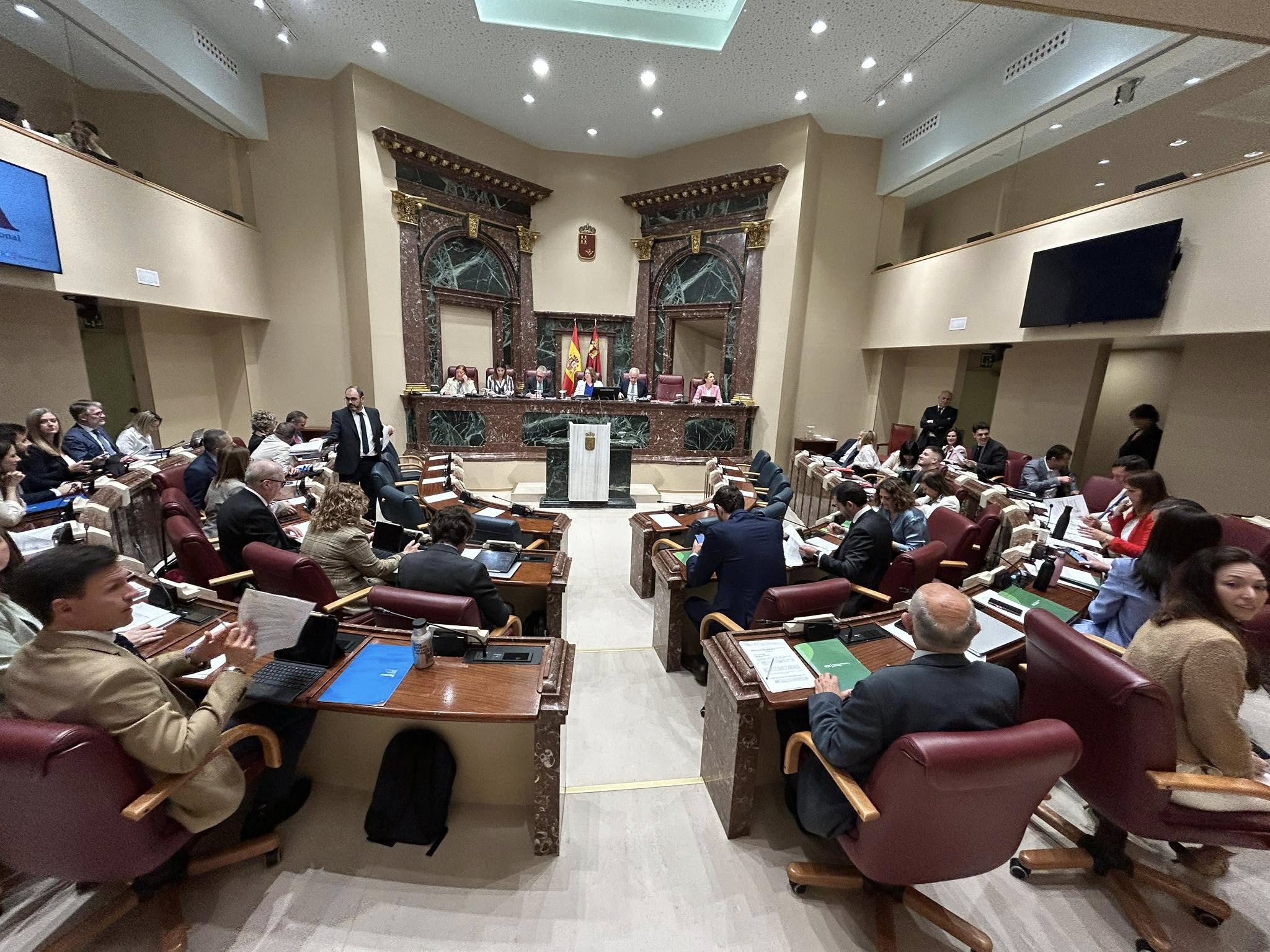 Pleno de la Asamblea Regional