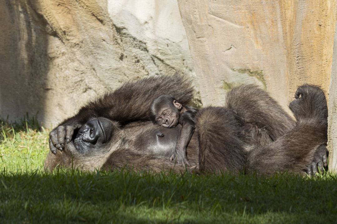 Mamá e hijo disfrutando del sol de la Costa del Sol