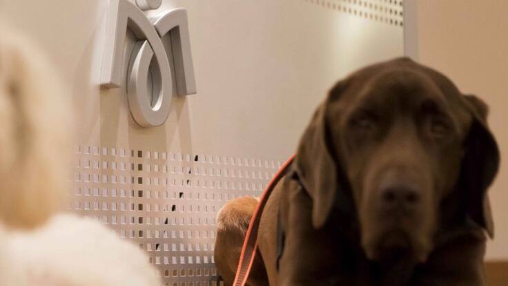 Entrevista Natalia Vázquez, terapeuta (21/02/19)