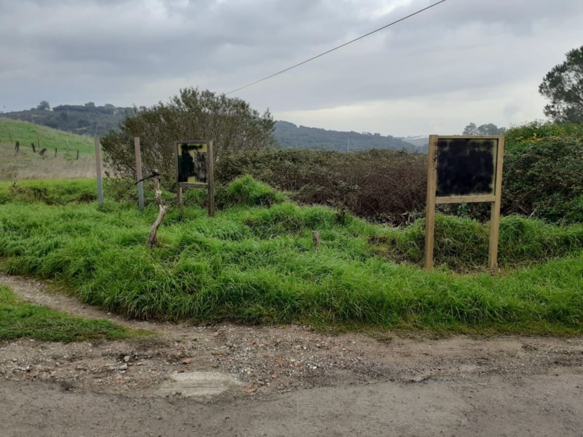 Un acto vandálico daña la señalización de la Puerta Verde en Algeciras