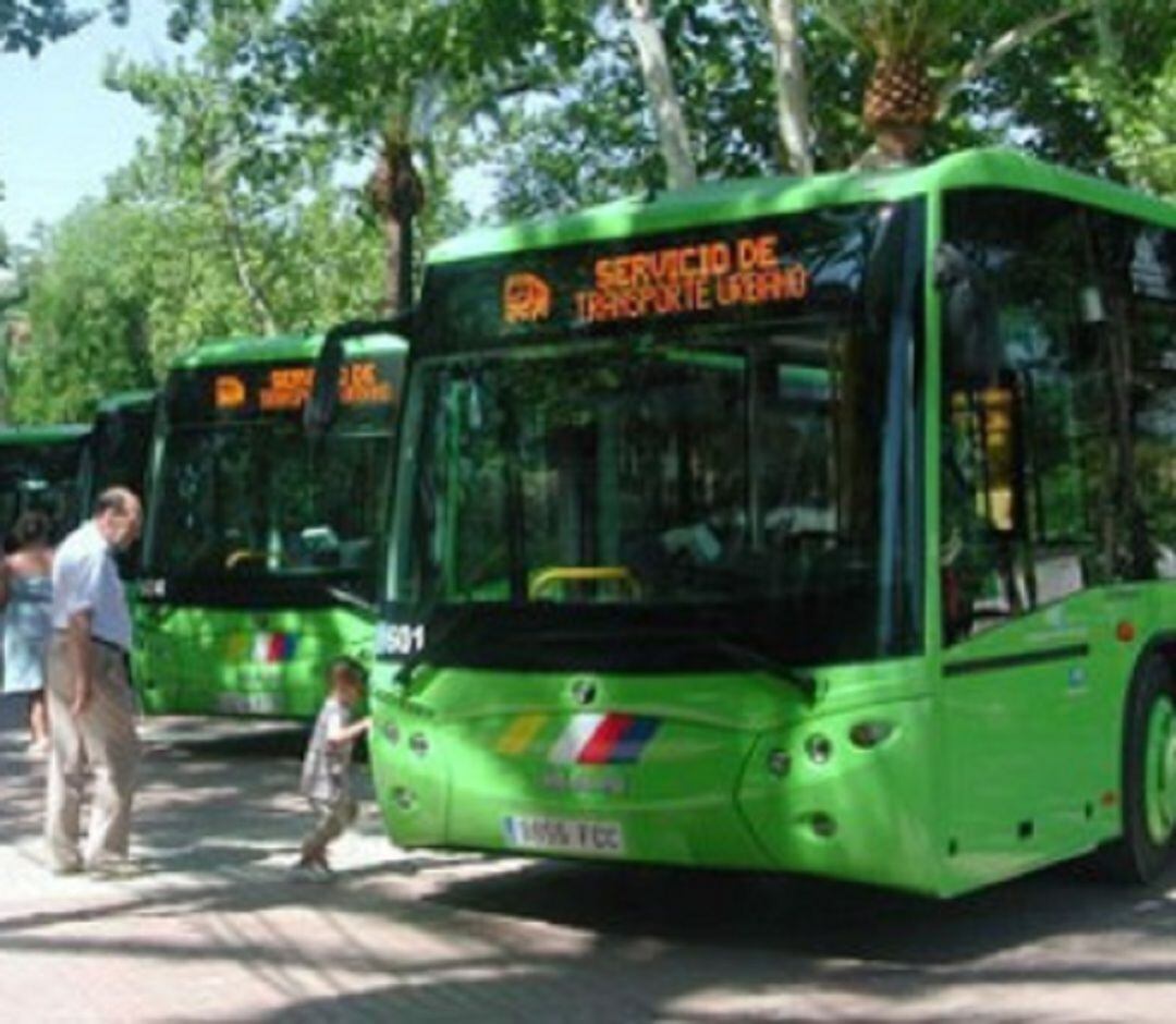 Vehículos de Transportes Urbanos de Linares.