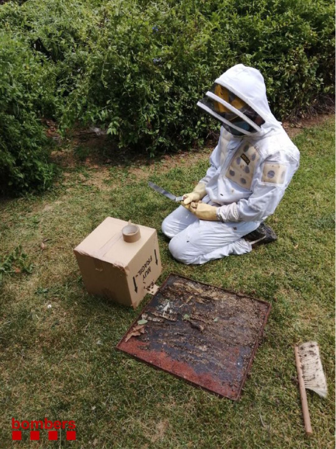 Un bomber amb un eixam d&#039;abelles a Sant Andreu de la Barca