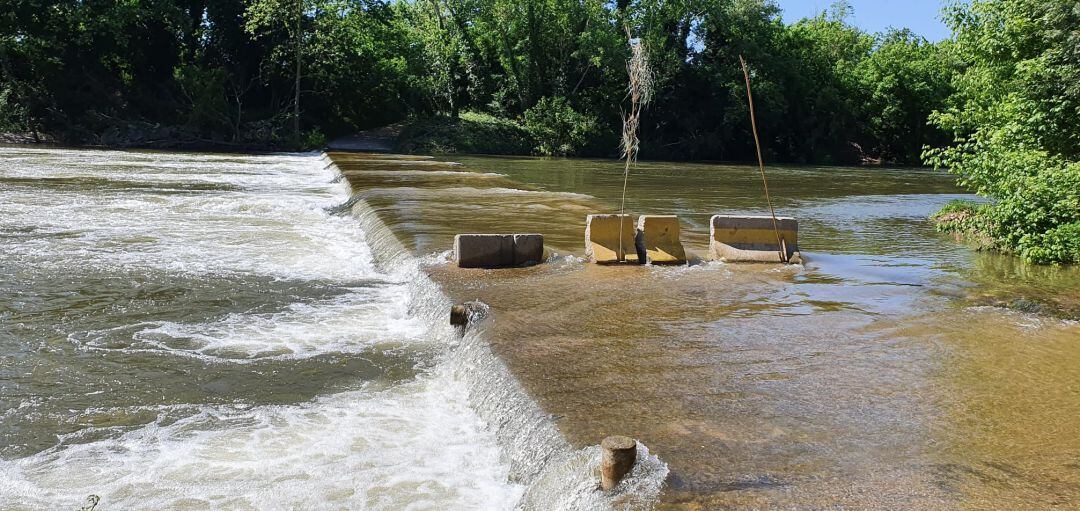 L'aigua encara passava per sobre de la passera aquesta setmana.