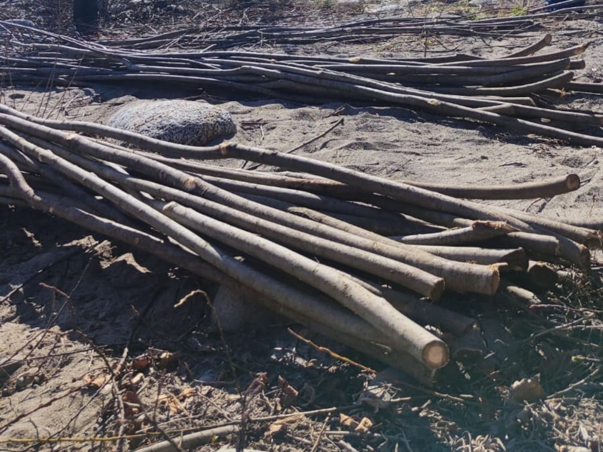 Los nabateros de Sobrarbe y la Galliguera preparan el descenso por los ríos Cinca y Gállego