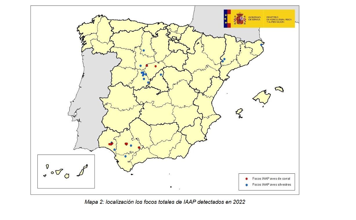 Situación de los focos de gripe aviar en España a 21 de febrero de 2022