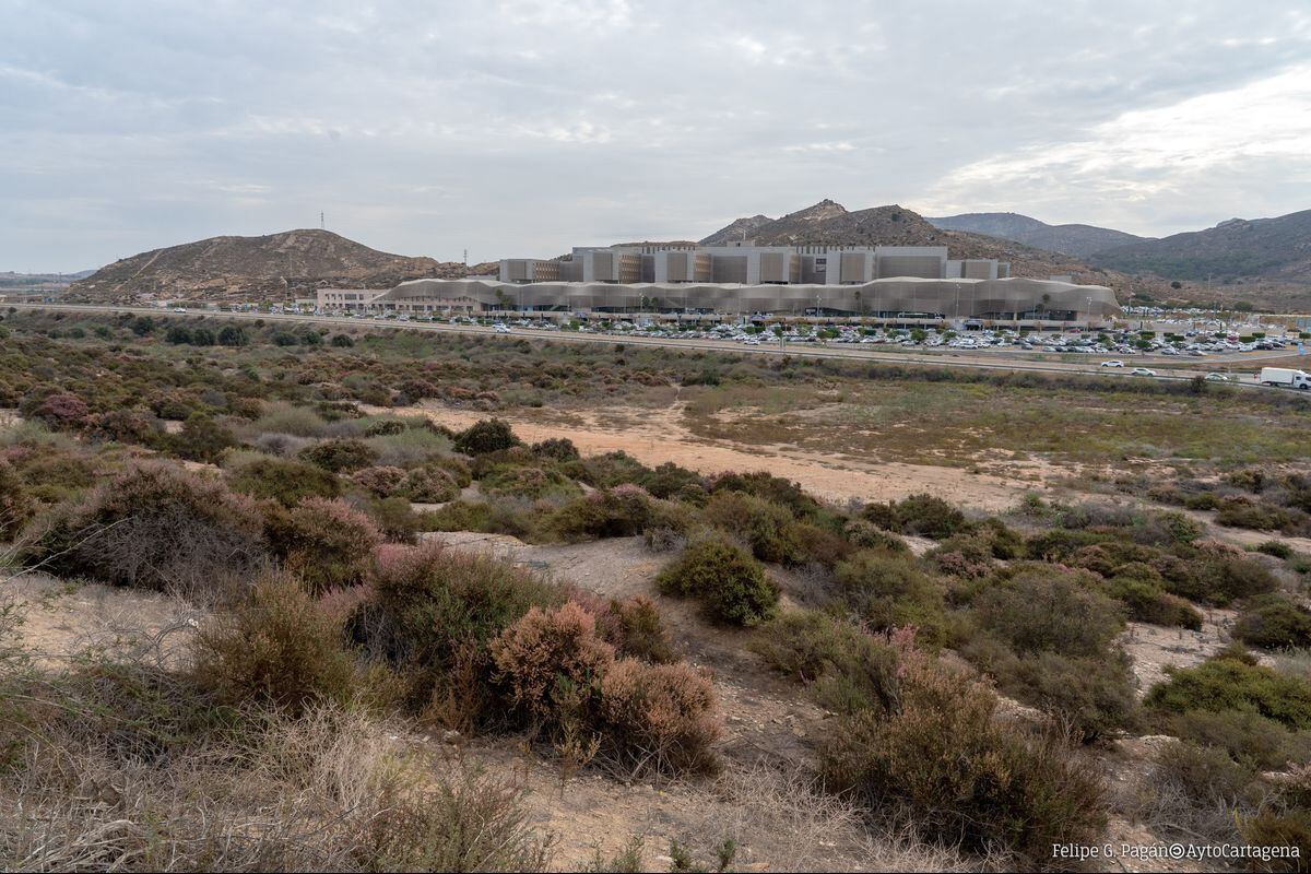 Terrenos de Santa Lucía propuestos por el Ayuntamiento, frente al Hospital