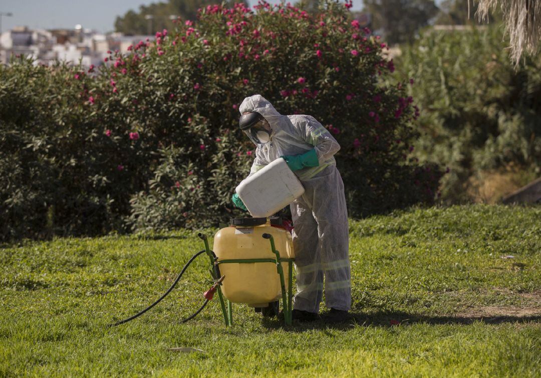 Un trabajador durante las labores de fumigación contra los mosquitos causantes del virus del Nilo en Coria del Río