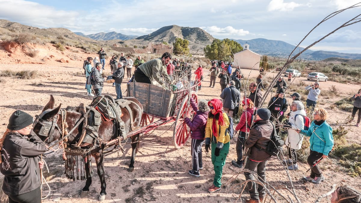 Todo listo en Elda para los primeros actos previos a la Media Fiesta