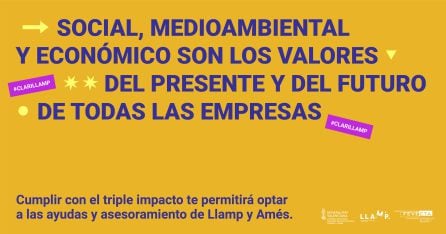 Iniciativas Llamp y Amés