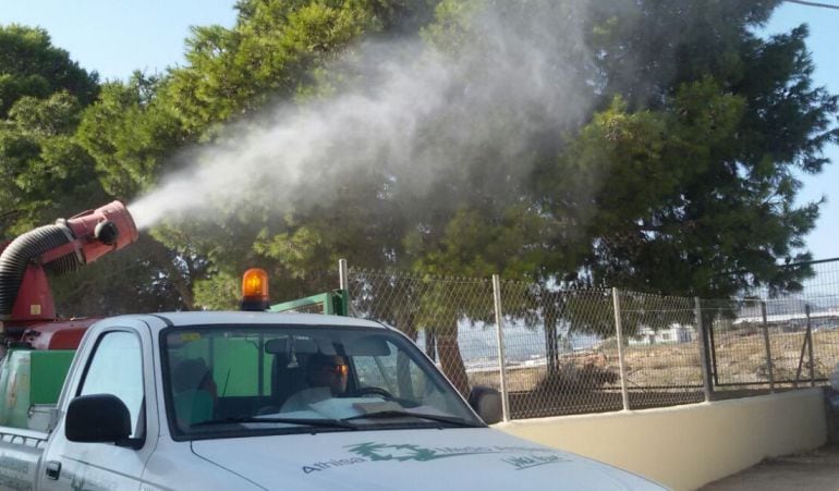 Tratamiento contra las plagas de oruga procesionaria.