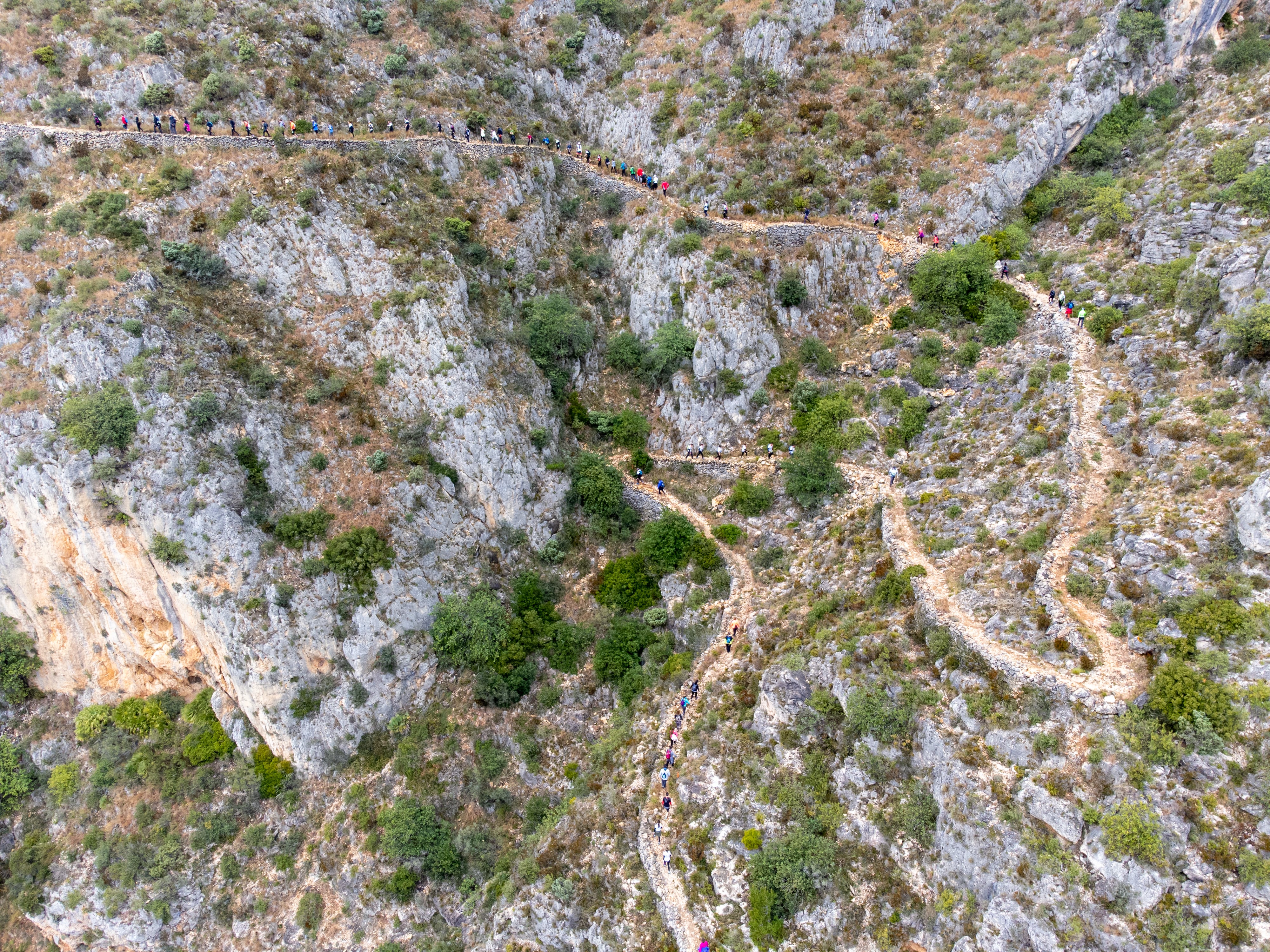 Una de las últimas ediciones del Trail de Les Creus.