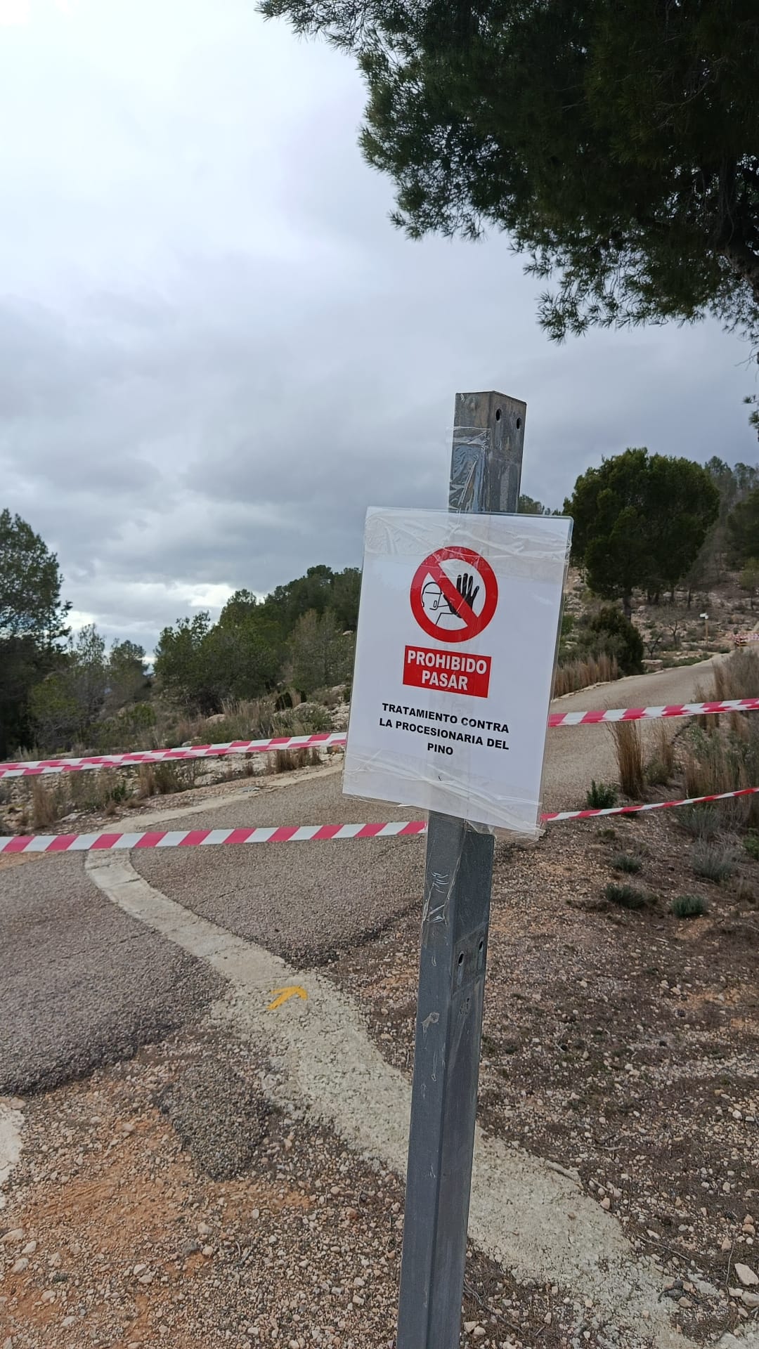 Imágenes de la zona que estará en tratamiento