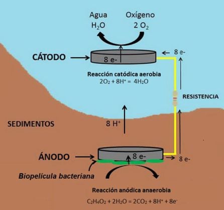 Figura 3. Esquema de una celda de combustible sedimentaria.