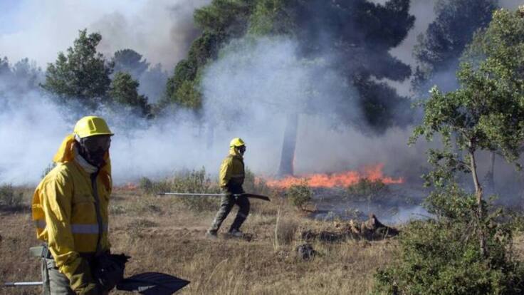 Alfredo Carmena, delegado de medioambiente de CCOO Soria, sobre el operativo de incendios