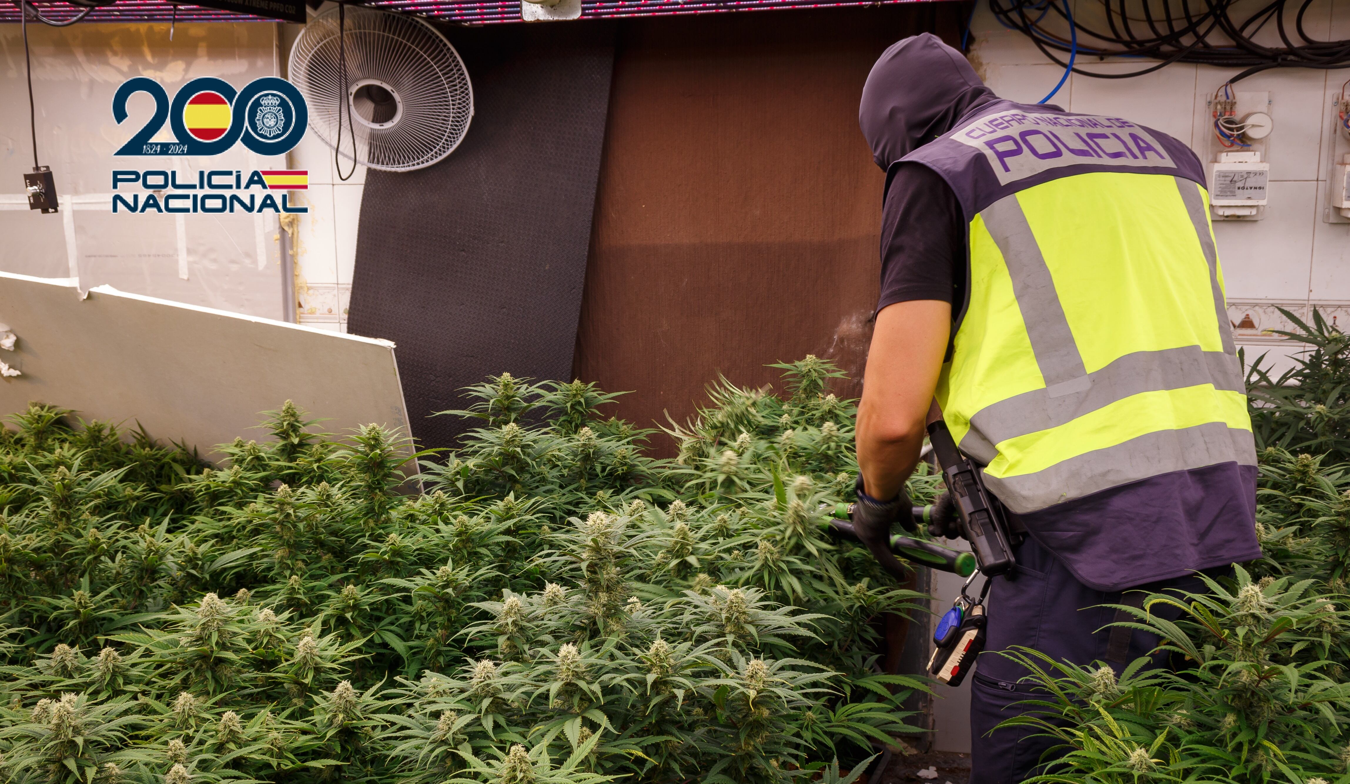 La Policía Nacional desmantela dos puntos de venta de drogas en la barriada Virgen de la Caridad