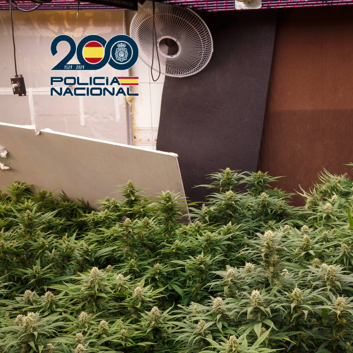 La Policía Nacional desmantela dos puntos de venta de droga en Cartagena y detiene a seis personas