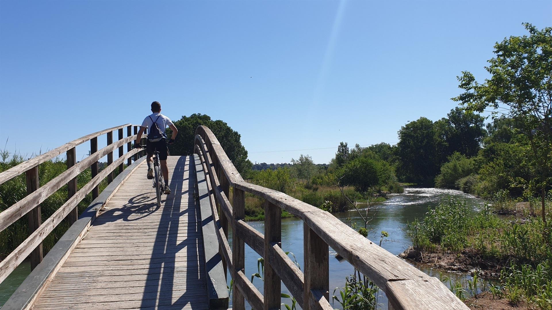 Puente en el Parque Natural del Turia, a su paso por Riba-roja