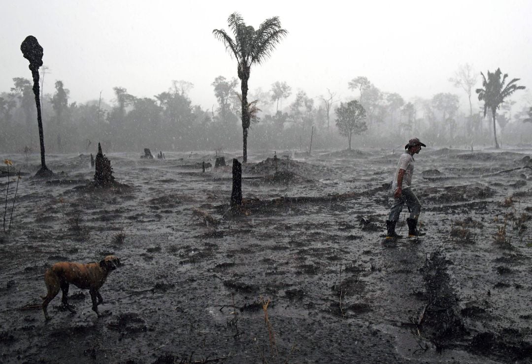 Bolsonaro redujo en cuatro años hasta un 95% el presupuesto nacional para la prevención de desastres, entre los que se incluyen los incendios que azotan la Amazonia tanto por la mano del hombre como por el aumento de las temperaturas.