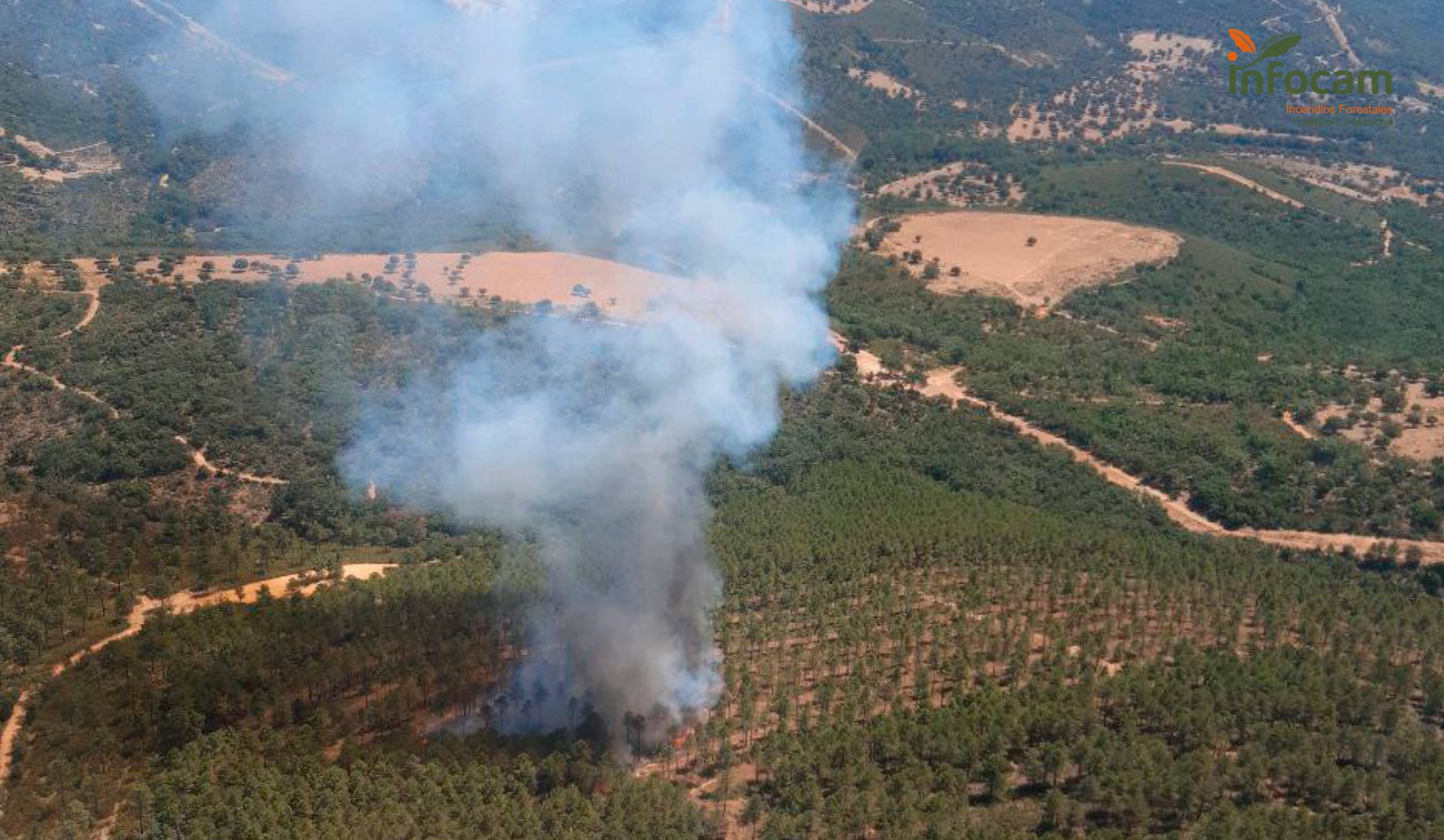 Incendio forestal en Hontanar (Toledo)