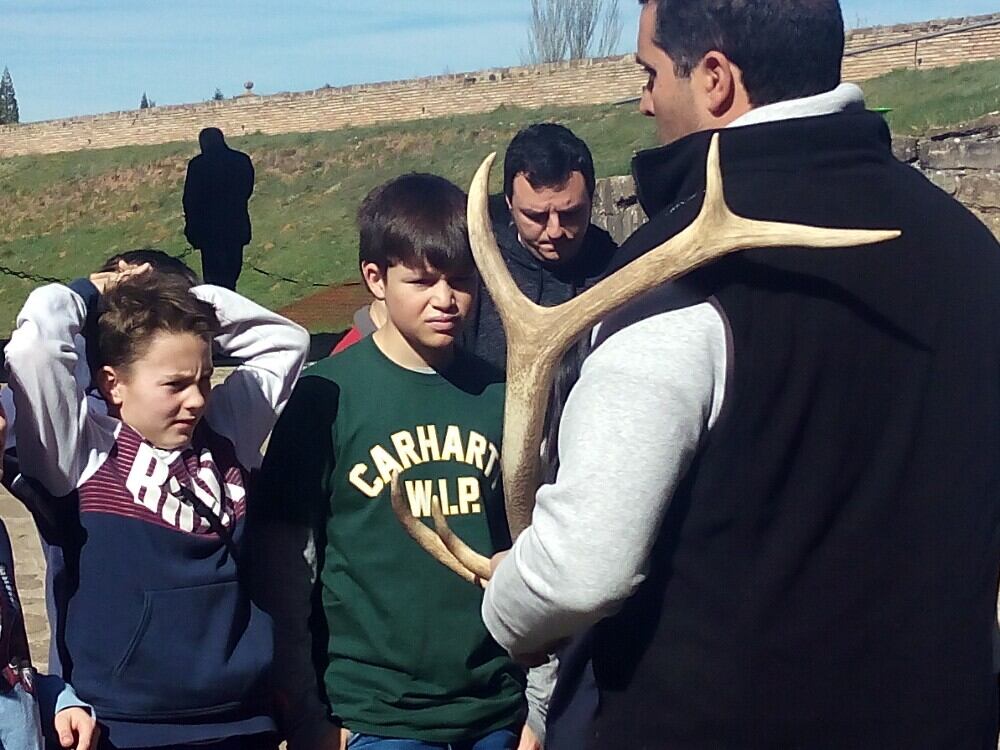 Una de las visitas propuestas baja al foso para conocer de cerca a los ciervos