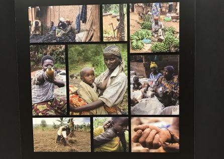 Algunas de las fotograf&iacute;as que se pueden ver en la exposici&oacute;n.