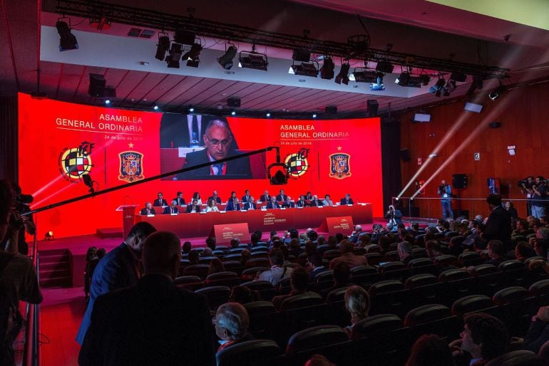 Asamblea de la Real Federación Española de Fútbol