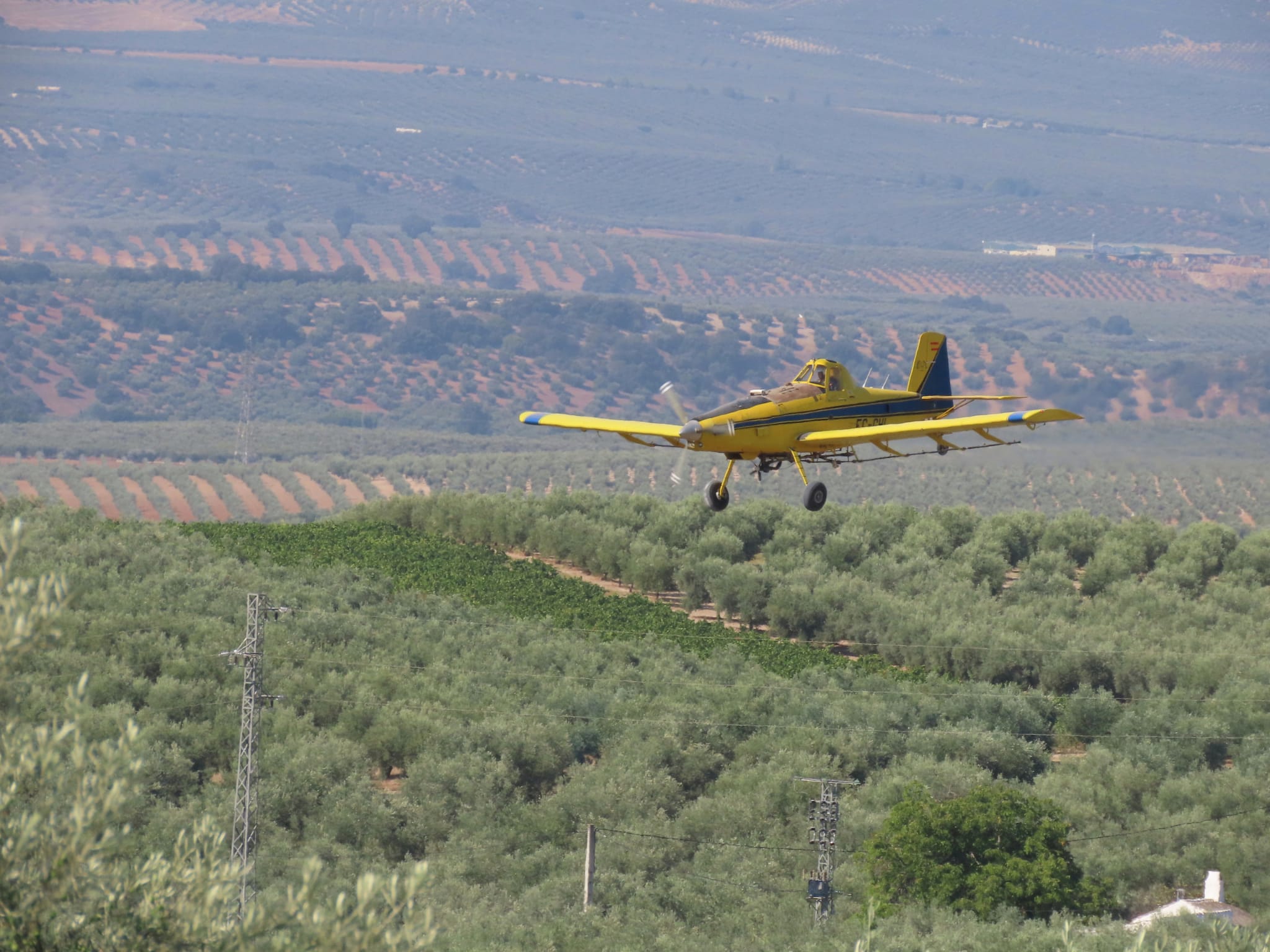 Les fumigacions aèries no discriminen als animals que afecten.
