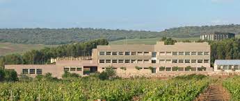 El Instituto de Ciencias de la Vid y del Vino (ICVV) es un centro de investigación en viticultura y enología ubicado en Logroño (La Rioja).