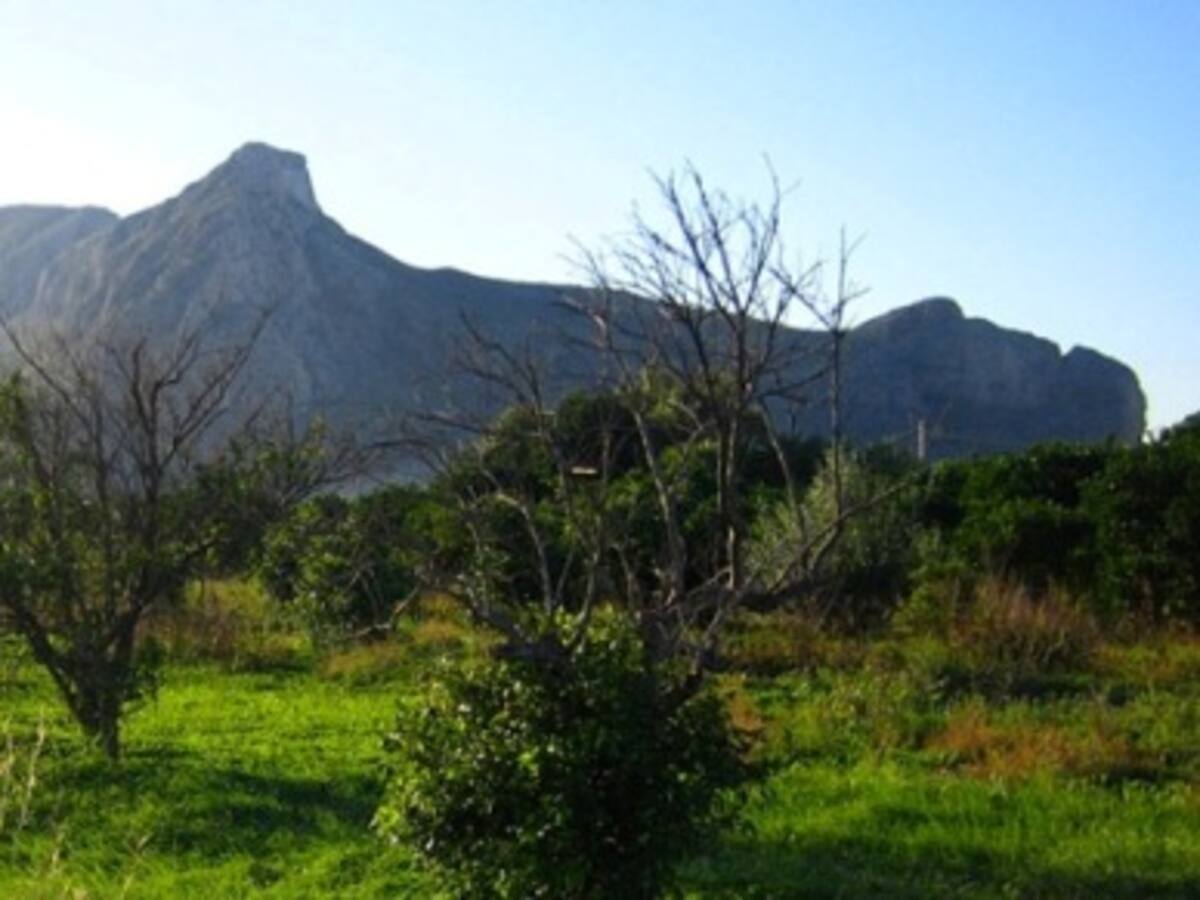 Enfrentarse a un gigante de piedra