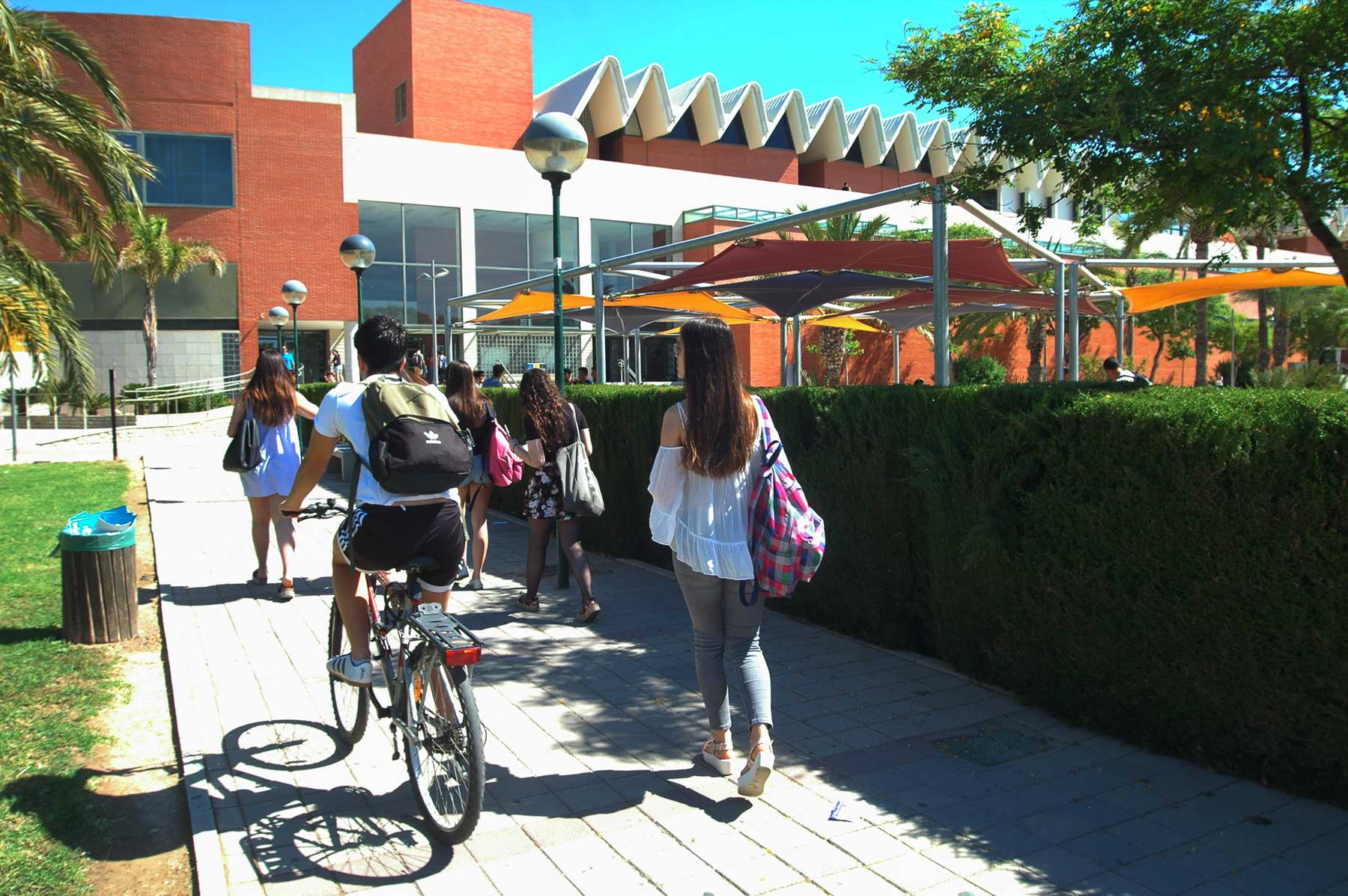 Alumnos paseando por el Campus de la Universidad Miguel Hernández de Elche