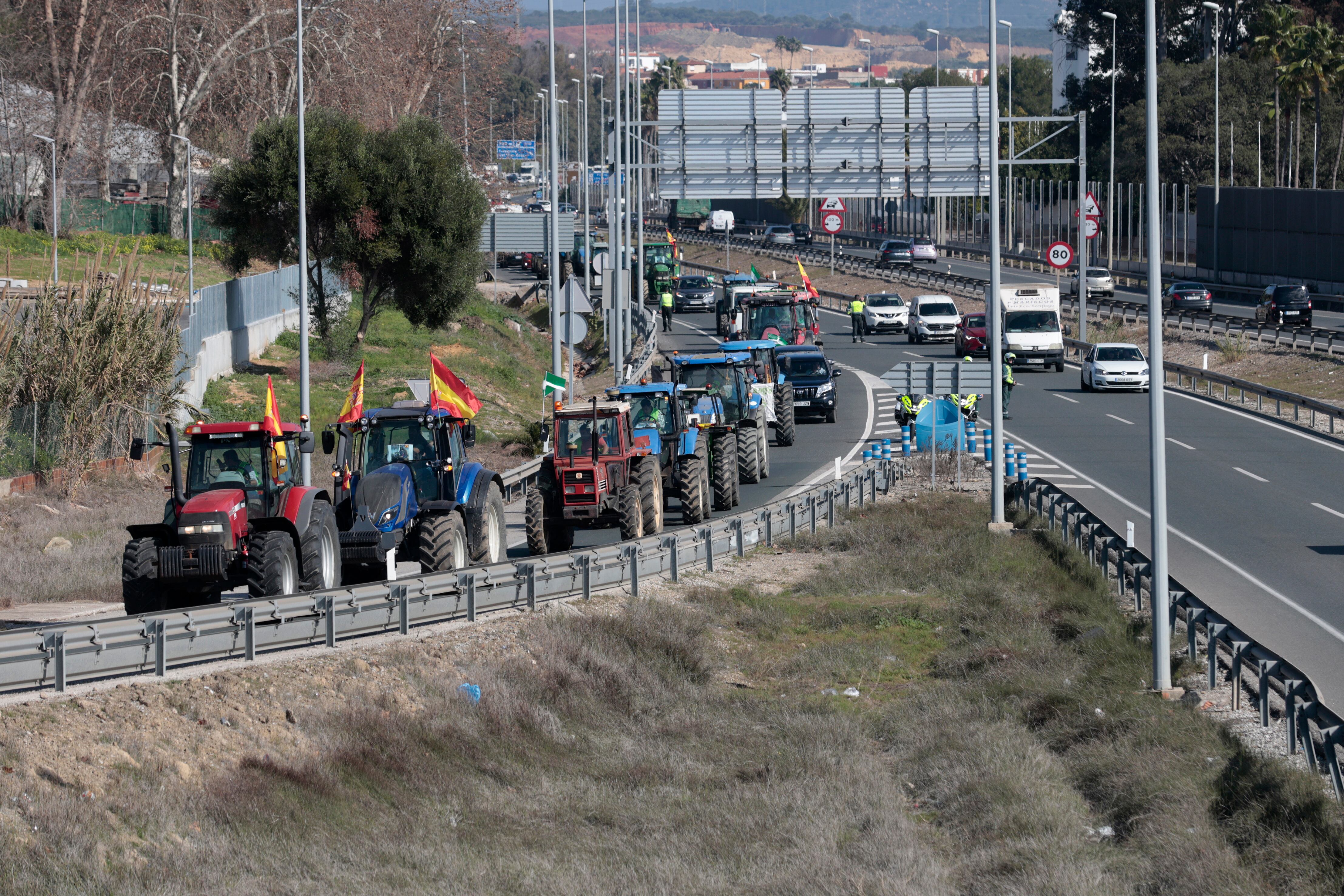 LOS BARRIOS (CÁDIZ), 06/02/2024.- Agricultores del Valle del Guadiaro (Cádiz) durante la marcha realizada con sus tractores salen de la autovía A-7 para circular por carreteras secundarias a la altura del término municipal de Los Barrios (Cádiz). Las tractoradas de los agricultores españoles, convocadas a través de redes sociales y grupos de whatsapp, se han extendido a prácticamente toda Andalucía. EFE/A.Carrasco Ragel.
