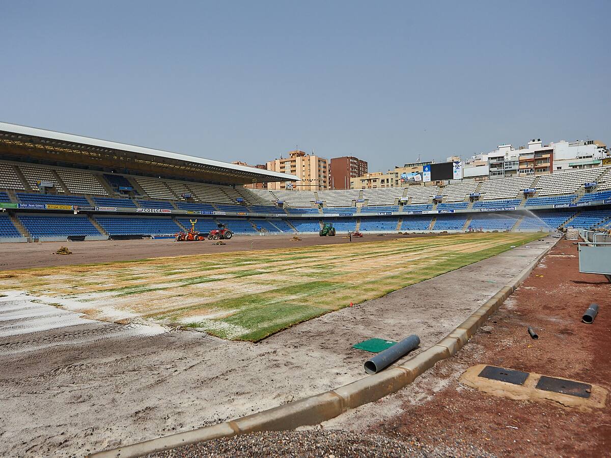 Visita obras colocación del césped del Estadio Heliodoro R. L.