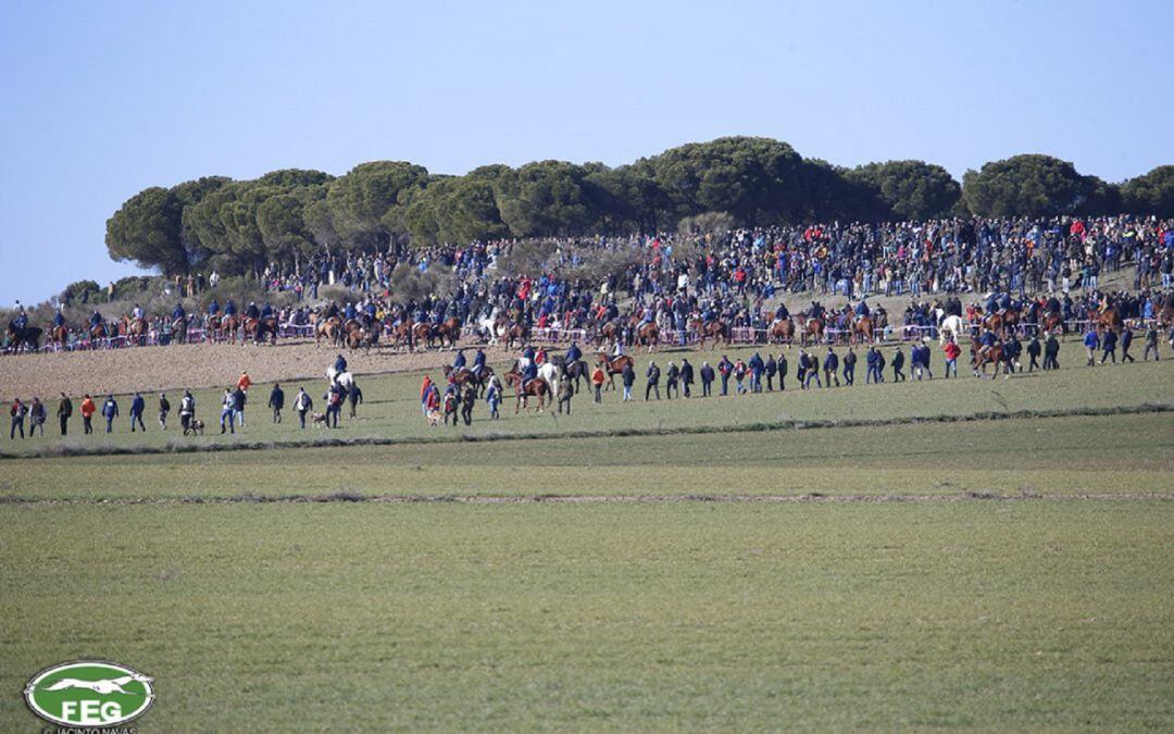 Imagen de la jornada galguera del sábado en Nava del Rey