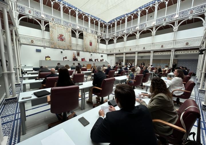 Pleno de la Asamblea Regional