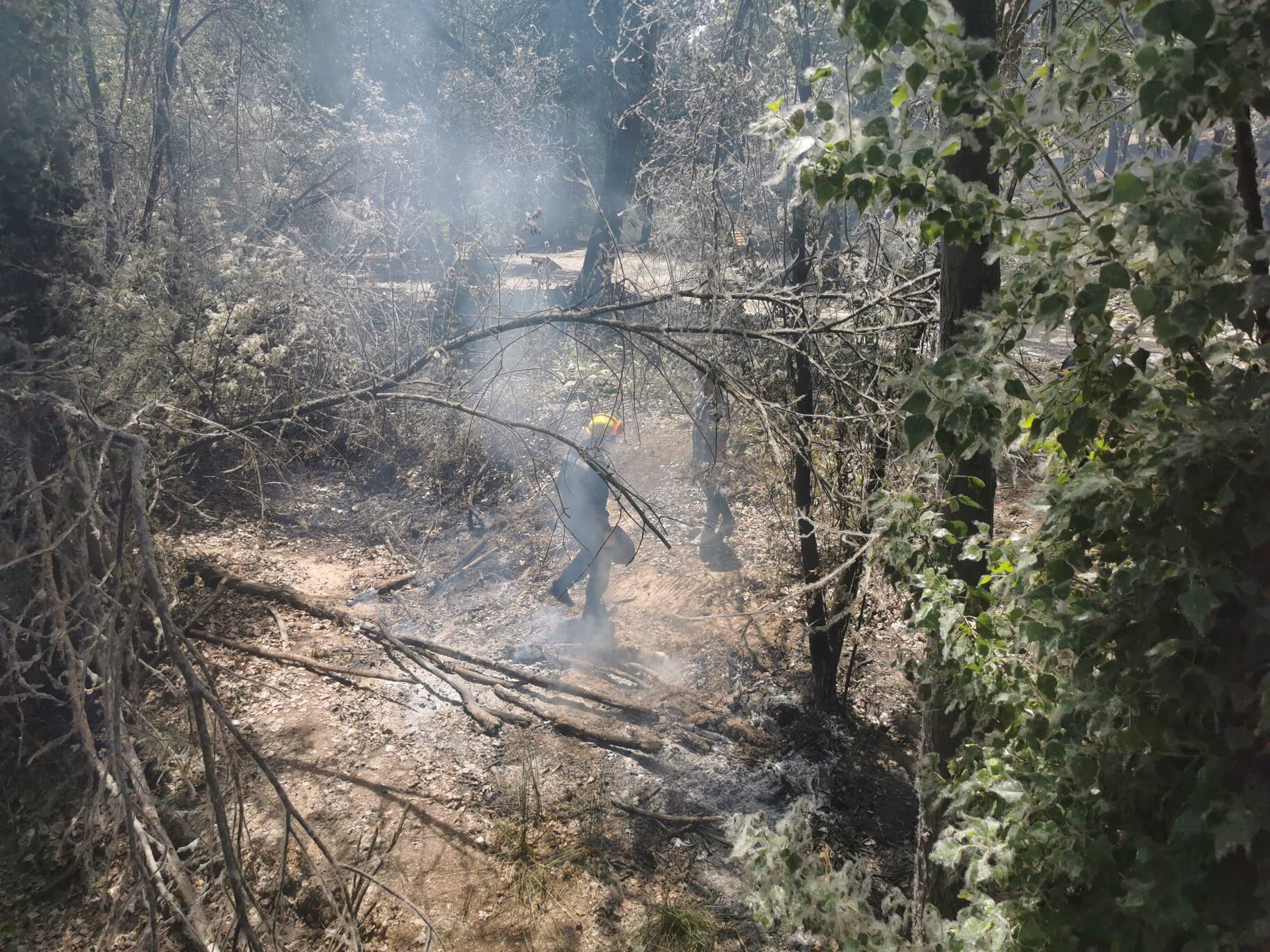 Los bomberos y agentes forestales extinguiendo el incendio en el pinar de Arroyomolinos