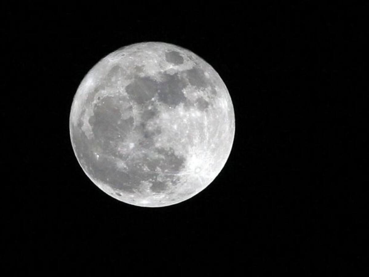 Daniel: "Llamo desde Recife y soy un brasileño enamorado de España"