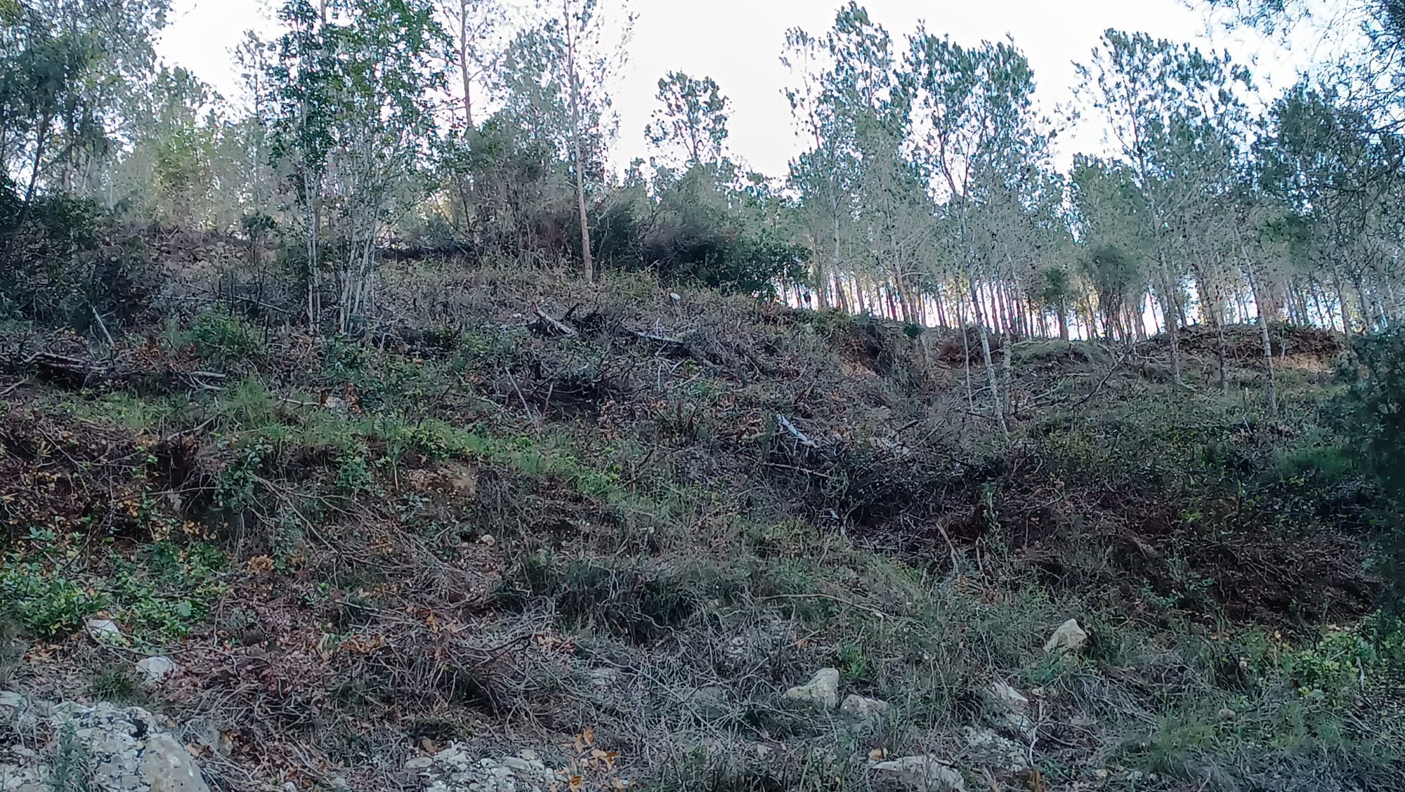 Trabajos cerca del paraje de las ermitas de Vallada