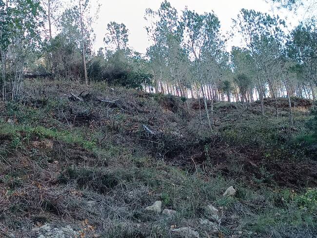 Trabajos cerca del paraje de las ermitas de Vallada