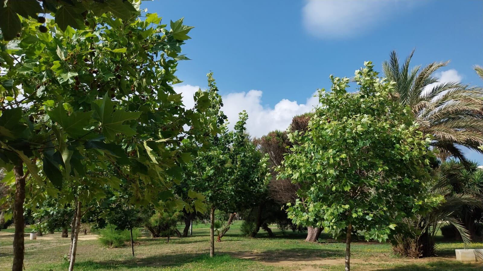 Parque Princesa Sofía