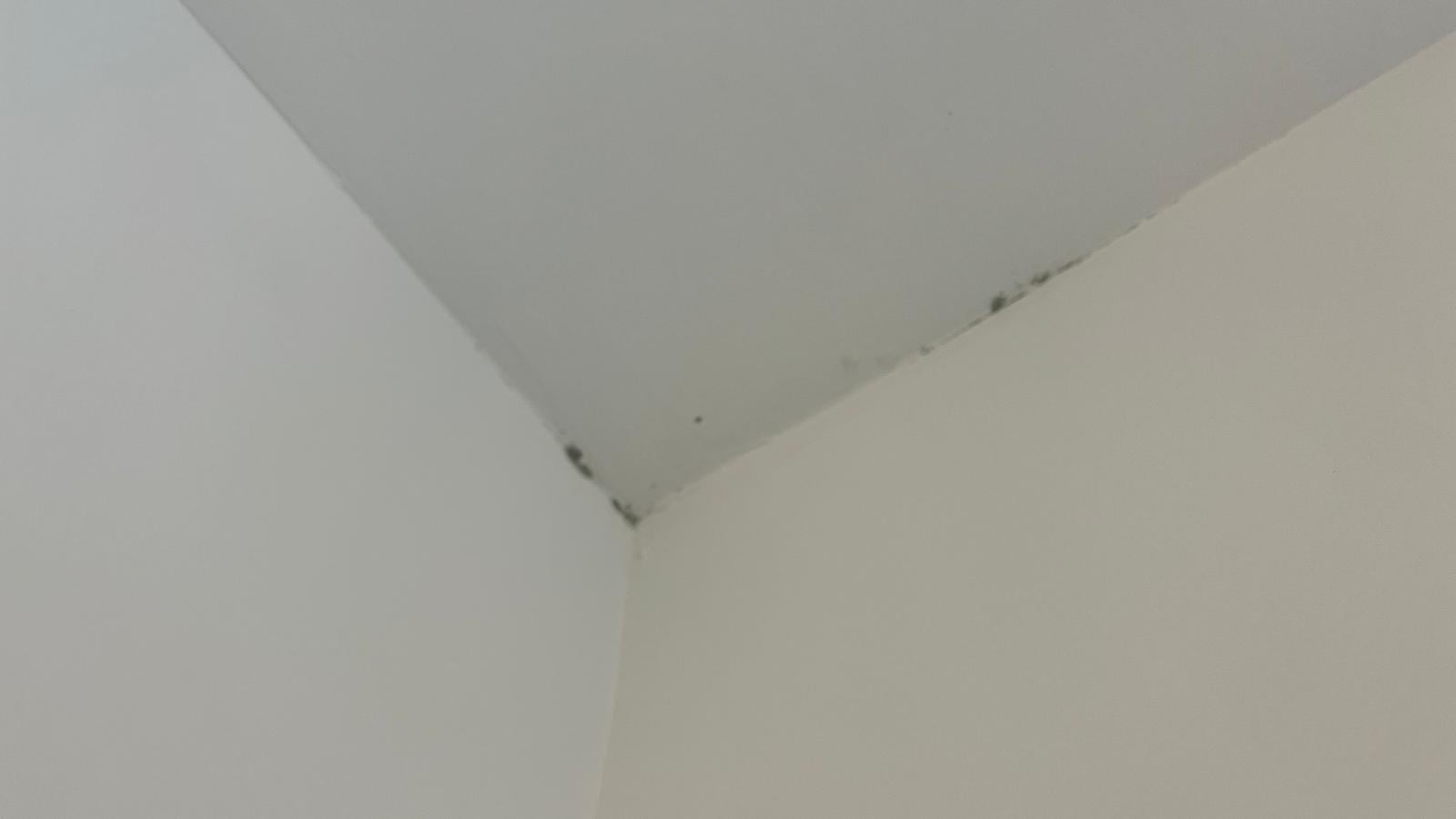 Moho en las paredes de uno de los pisos / Vecinos del Plan Vive en el Ensanche Sur (Alcorcón)