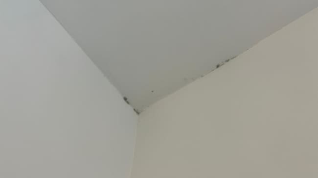 Moho en las paredes de uno de los pisos / Vecinos del Plan Vive en el Ensanche Sur (Alcorcón)