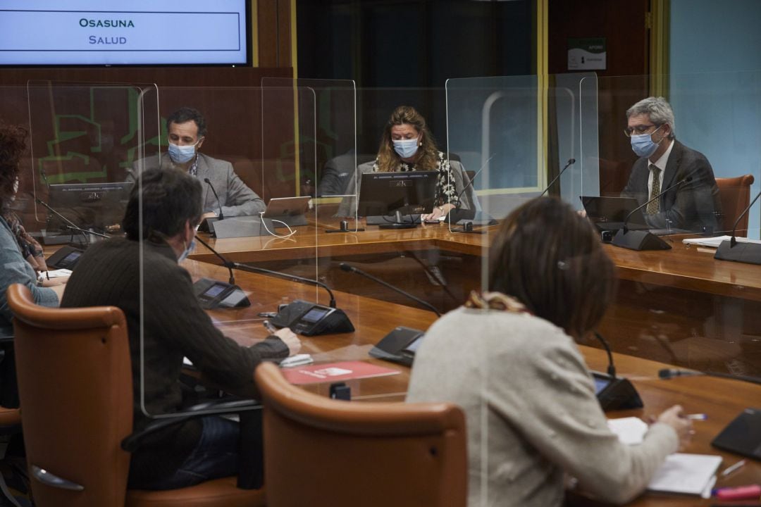 La consejera de Salud del Gobierno Vasco, Gotzone Sagardui, en el parlamento vasco