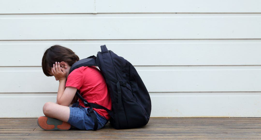 La majoria d'agressors són adolescents d'entre 13 i 15 anys i més del 40% dels delictes són lesions lleus i amenaces