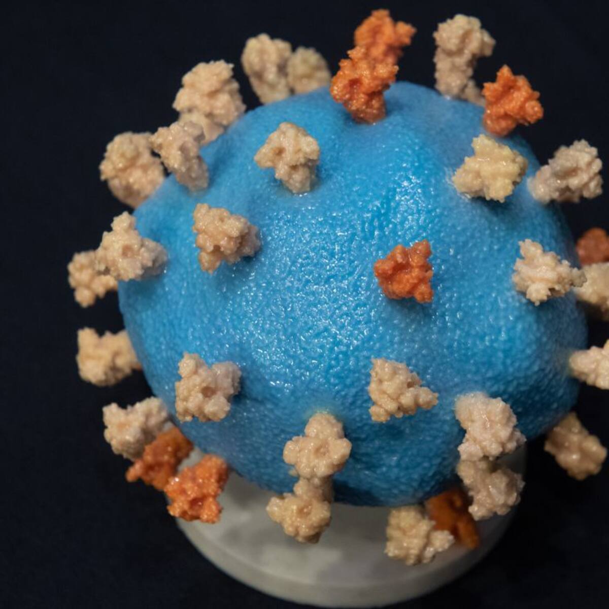 Salud notifica 8 nuevos positivos en el último domingo de mayo, que no registró ningún fallecido