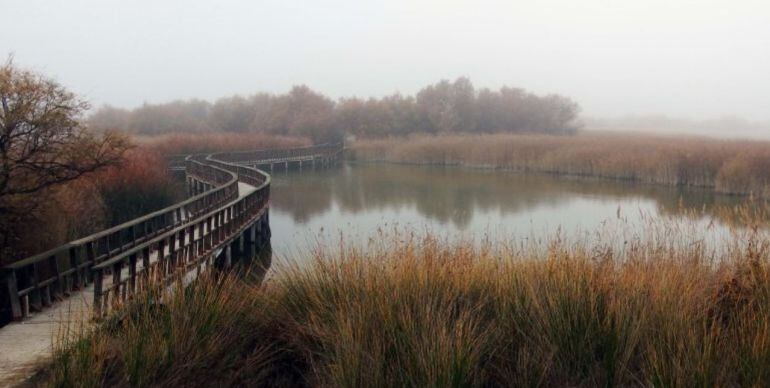 Tablas de Daimiel