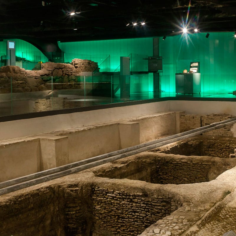 Anticuarium de Sevilla/Arqueogastronomía